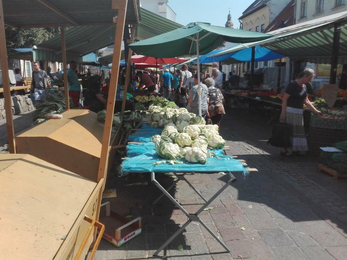Centrum Apartman Kukucinova6 Košice Eksteriør billede